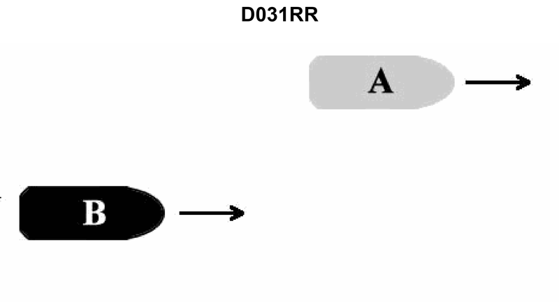 135. INLAND ONLY You are on vessel "A", and vessel "B" desires to overtake you on your starboard side as shown in illustration D031RR below. After the vessels have exchanged one blast signals what action should you take?