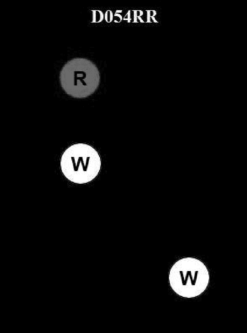 440. BOTH INTERNATIONAL & INLAND You see the display of lights shown in illustration D054RR below, this could be which of the following?