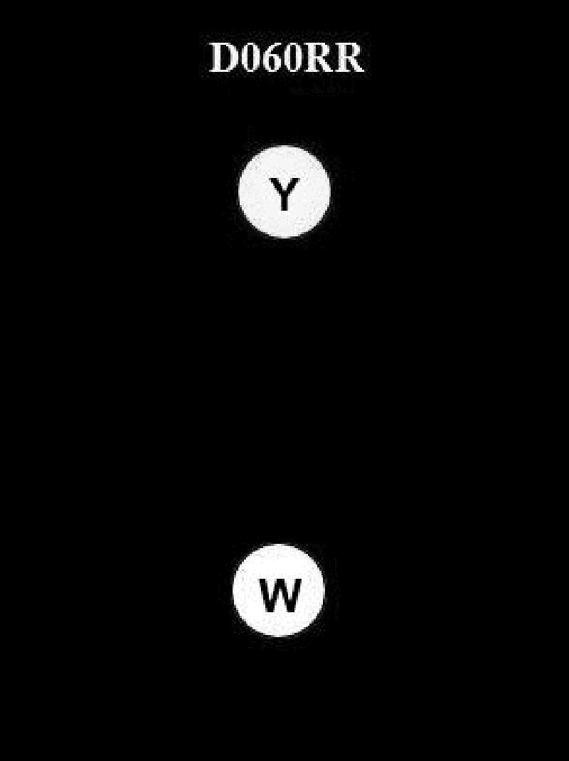 733. BOTH INTERNATIONAL & INLAND Which vessel shall display the lights shown in illustration D060RR below?