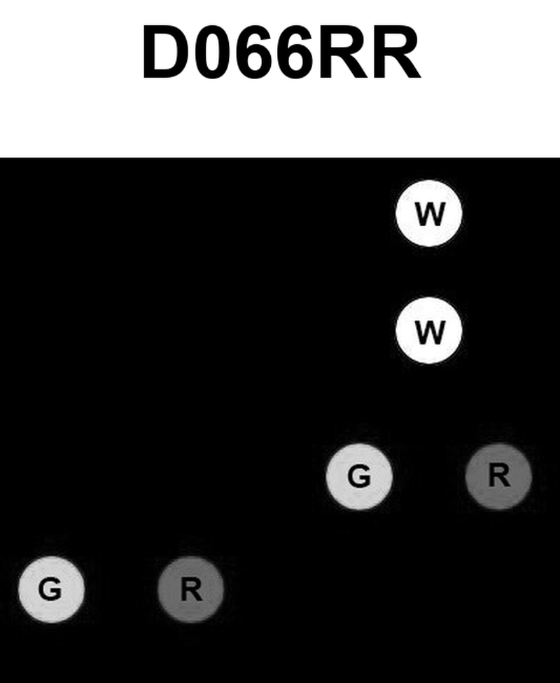 816. INTERNATIONAL ONLY You see the lights shown in illustration D066RR below. What do these lights indicate?